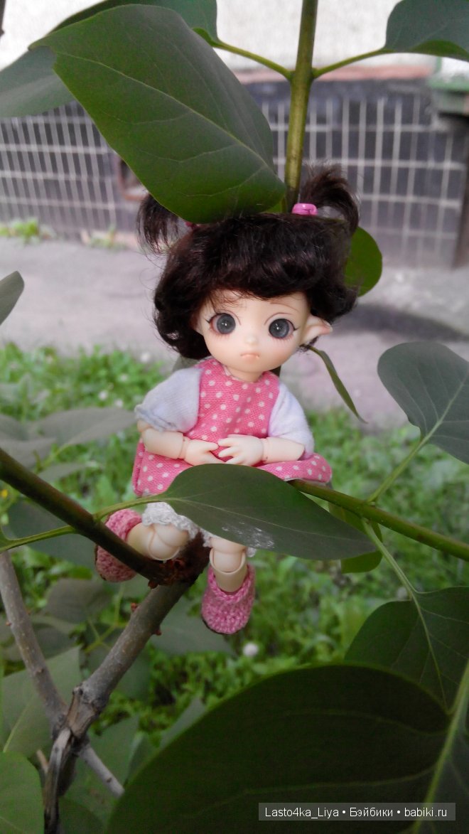BJD Brownie Felix - Молли.