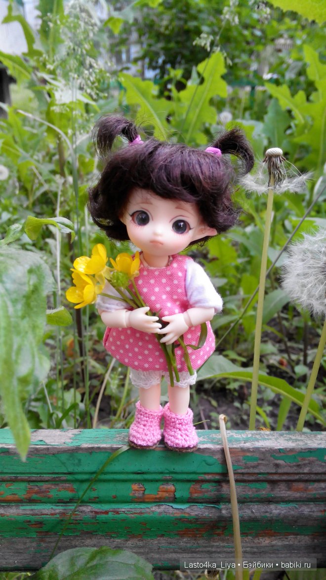 BJD Brownie Felix - Молли.