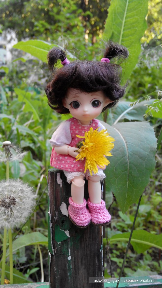 BJD Brownie Felix - Молли.