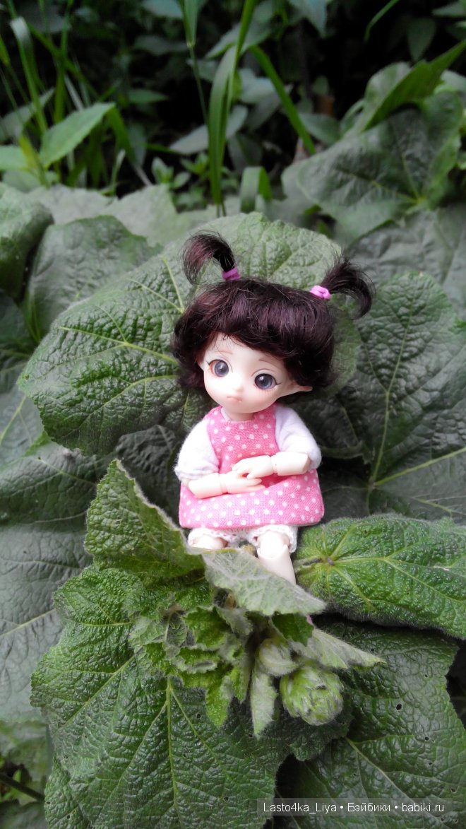 BJD Brownie Felix - Молли.