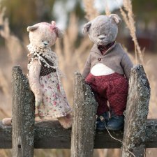 Семейство кошачьих на природе