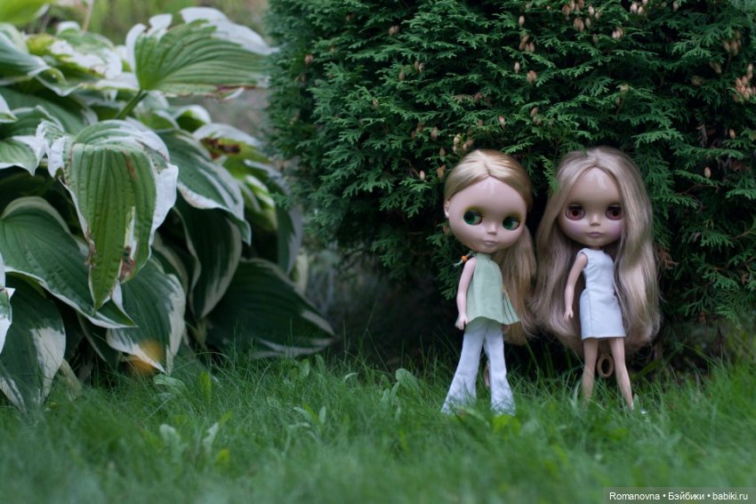 Красота оригинальных (стоковых) Blythe