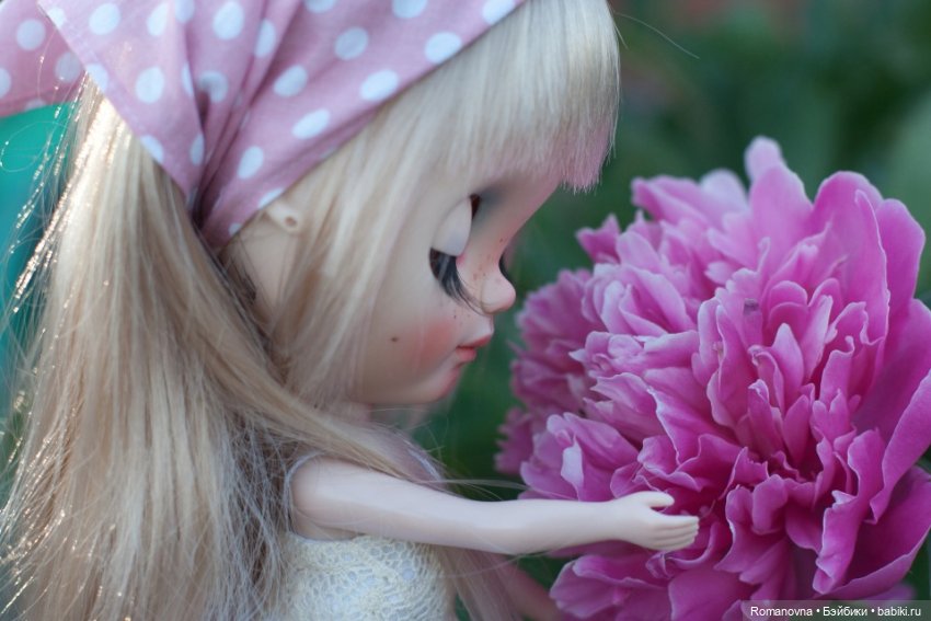 Дачная жизнь четверых подружек