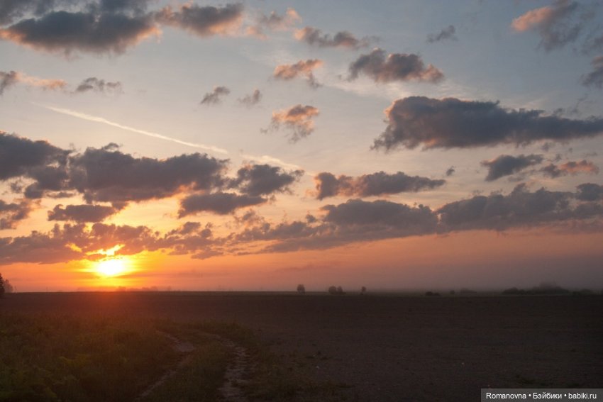 Дачная жизнь четверых подружек (фото 3)