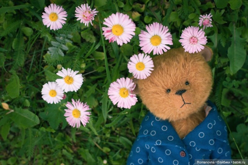 Неожиданное увлечение — Авторские мишки Тедди и друзья: фото