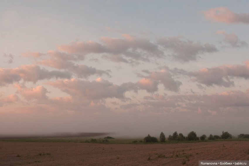 Дачная жизнь четверых подружек (фото 5)