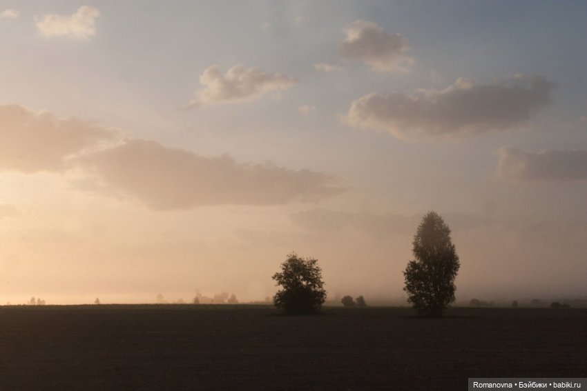 Дачная жизнь четверых подружек (фото 10)