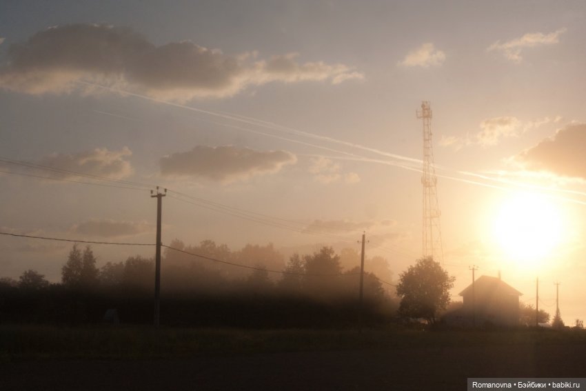 Дачная жизнь четверых подружек (фото 6)