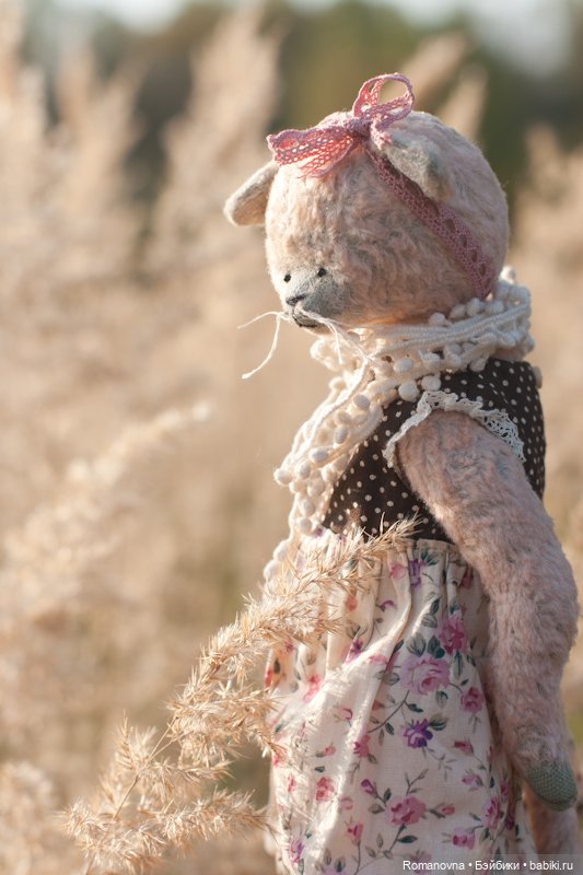 Семейство кошачьих на природе (фото 3)