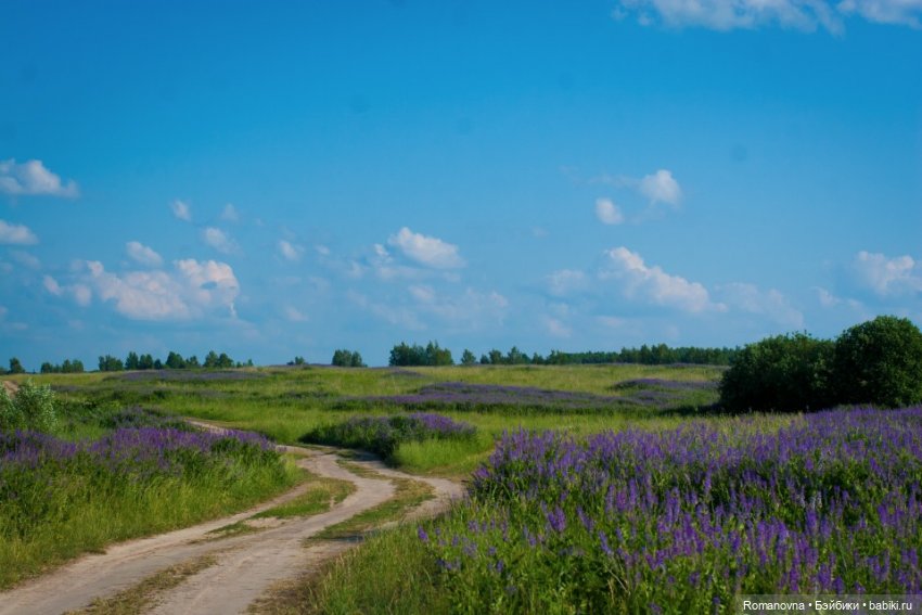 Дачная жизнь четверых подружек