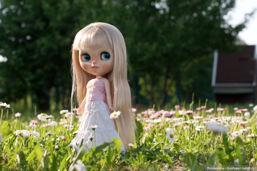 Дачная жизнь четверых подружек