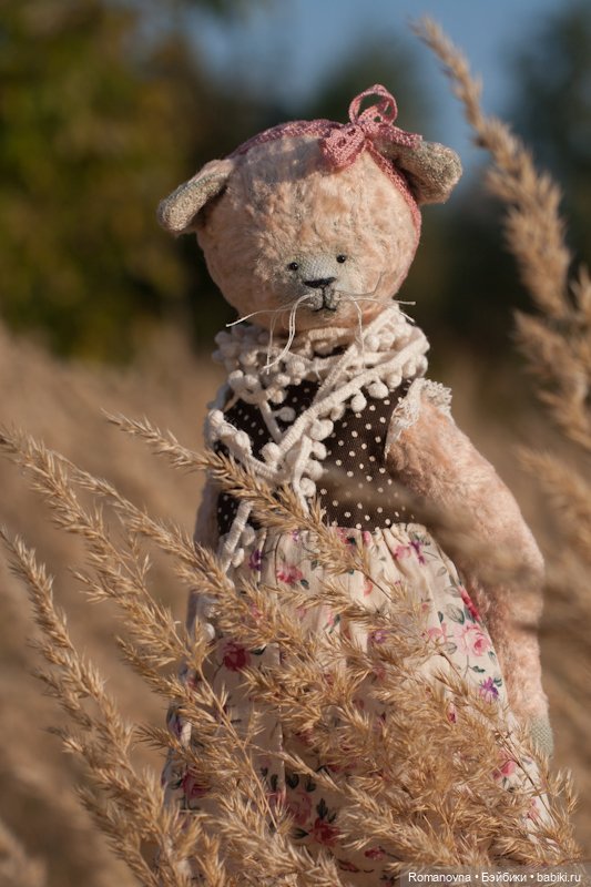 Семейство кошачьих на природе (фото 2)