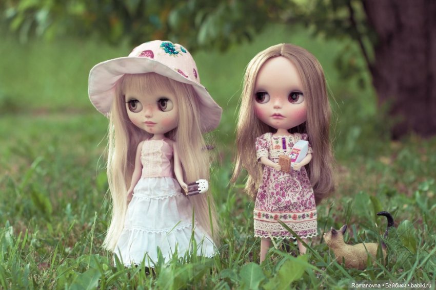 Дачная жизнь четверых подружек