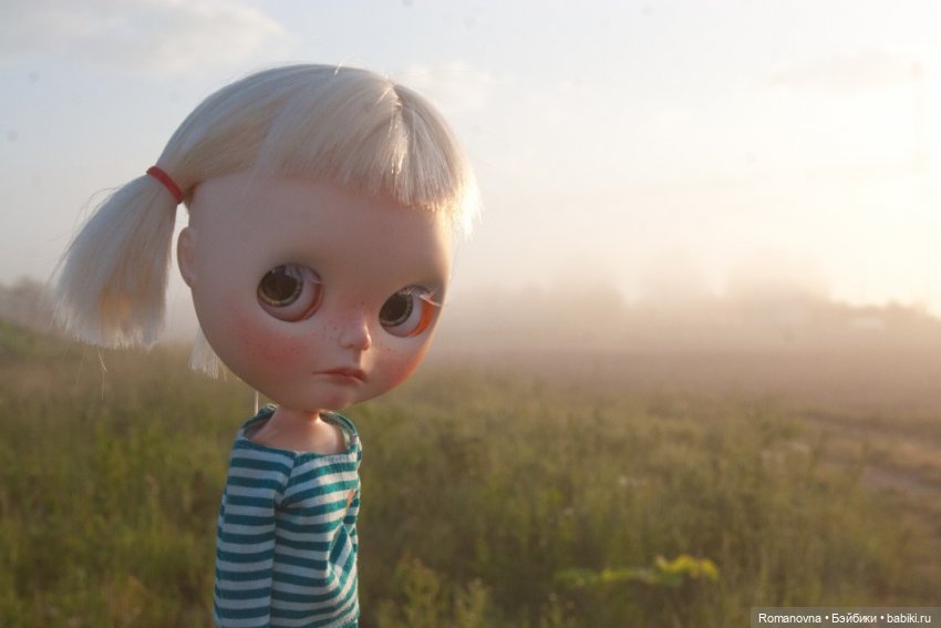 Дачная жизнь четверых подружек (фото 7)