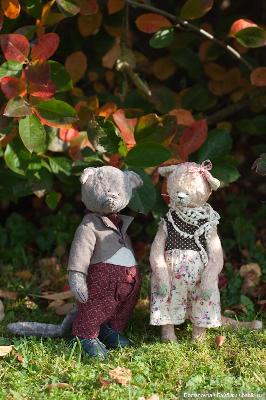 Семейство кошачьих на природе