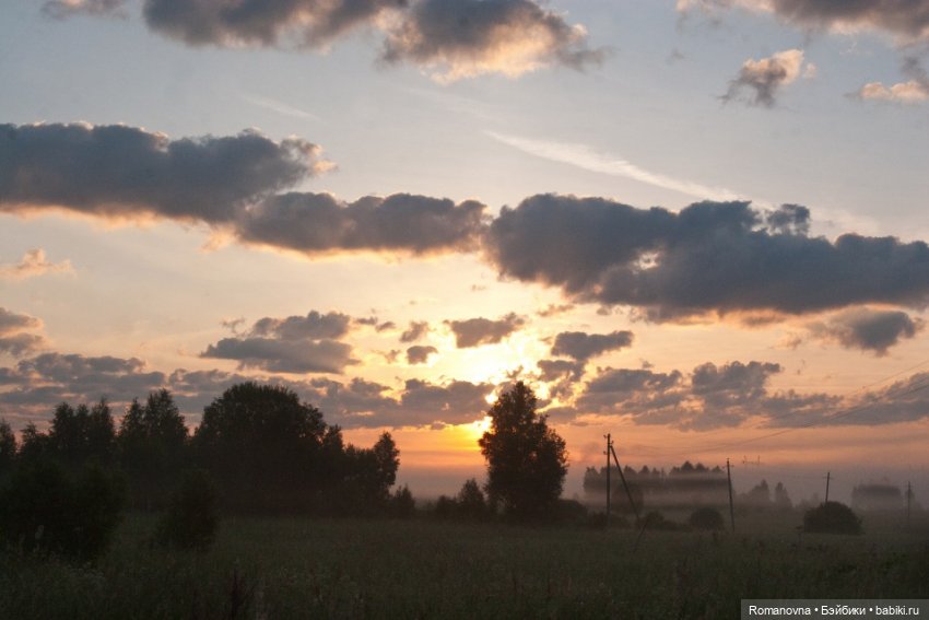 Дачная жизнь четверых подружек (фото 4)