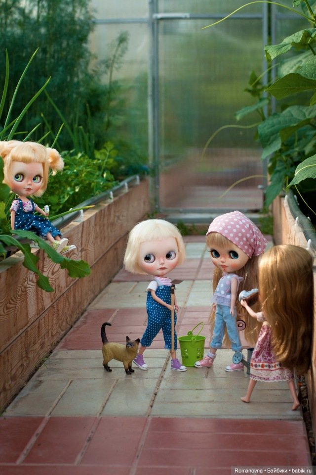 Дачная жизнь четверых подружек