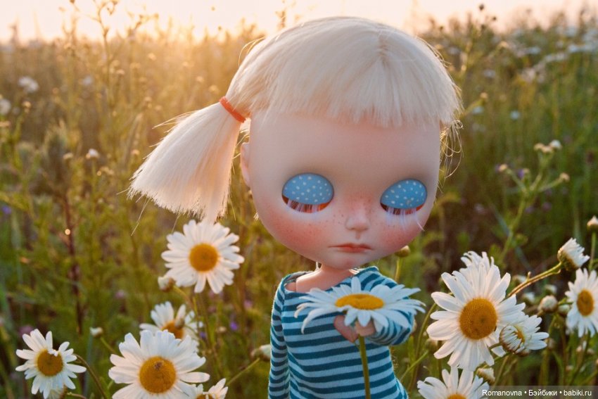 Дачная жизнь четверых подружек