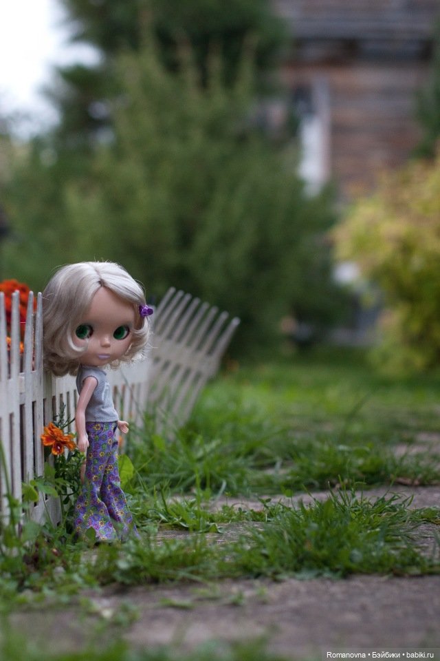 Красота оригинальных (стоковых) Blythe