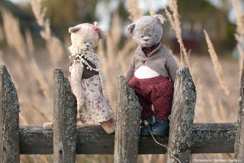 Семейство кошачьих на природе (фото 5)