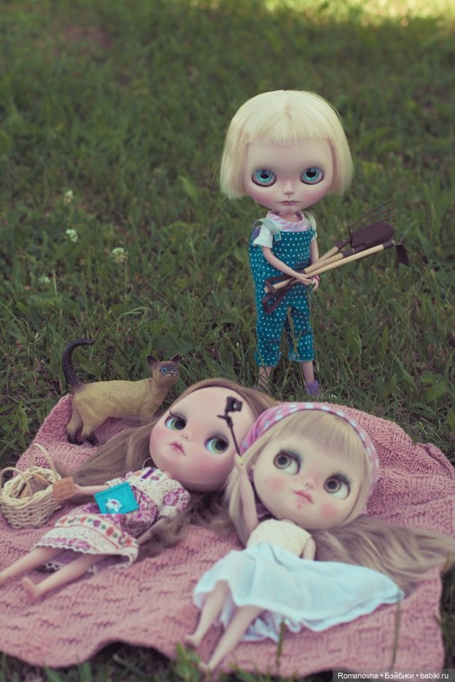 Дачная жизнь четверых подружек