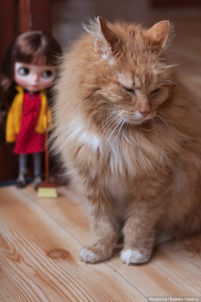 Просто Маруся — ООАК и репейнт кукол (Custom): Barbie