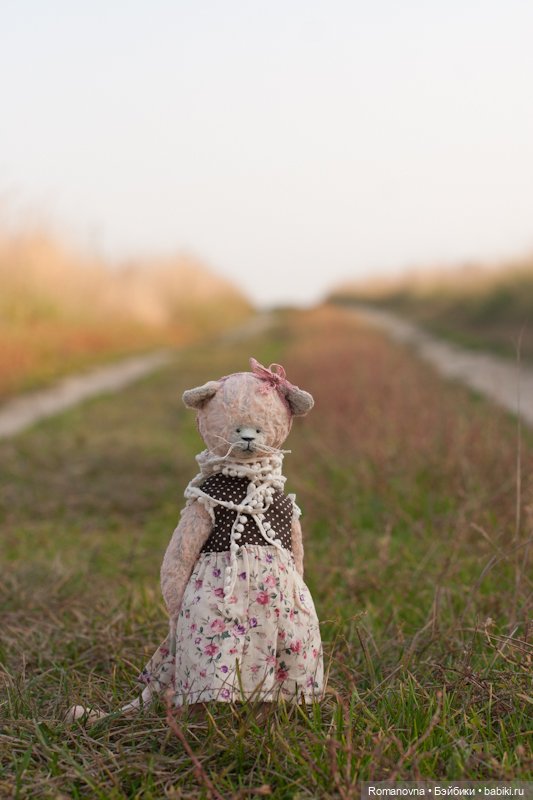 Семейство кошачьих на природе (фото 6)