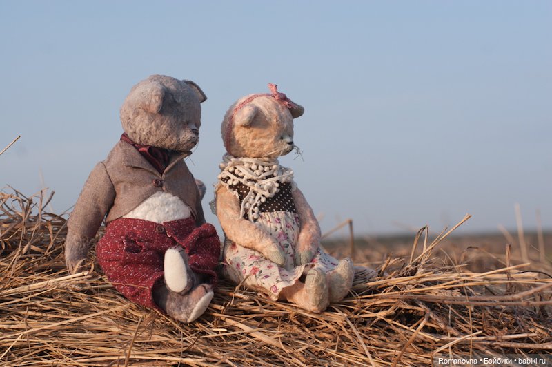 Семейство кошачьих на природе (фото 7)