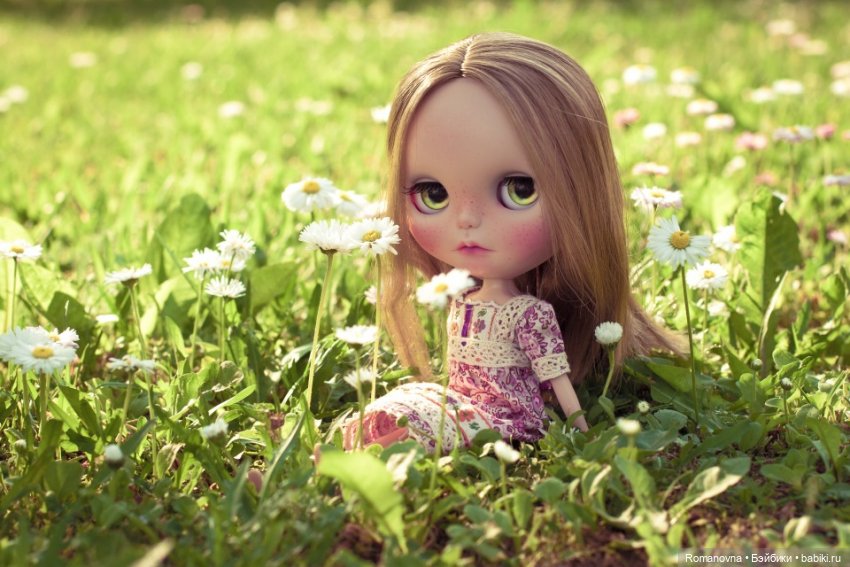 Дачная жизнь четверых подружек