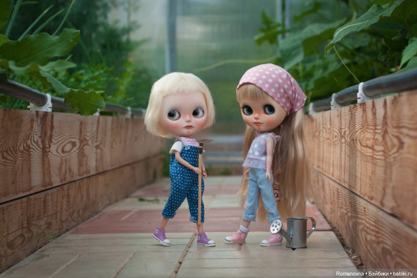 Дачная жизнь четверых подружек