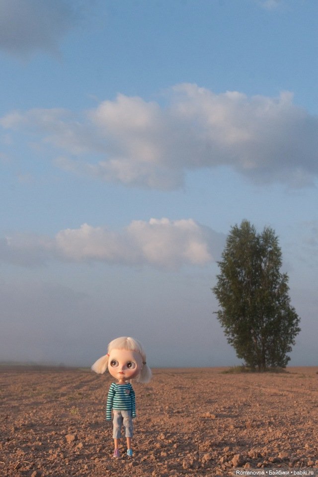 Дачная жизнь четверых подружек