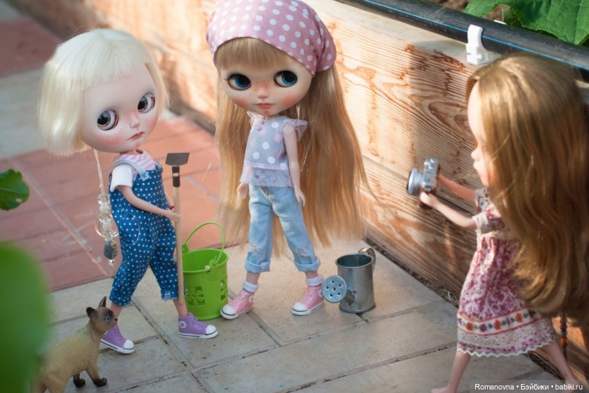 Дачная жизнь четверых подружек