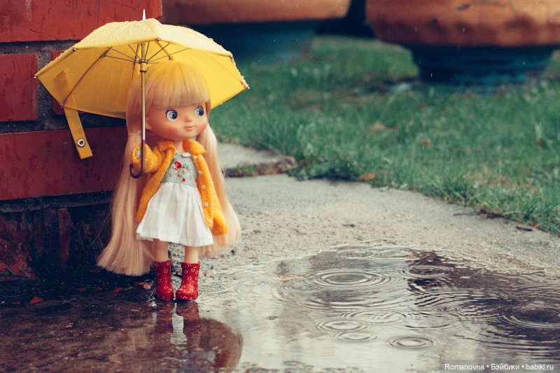 Xiaomi Monst, Hachichi, Lemo и Holala круглый год