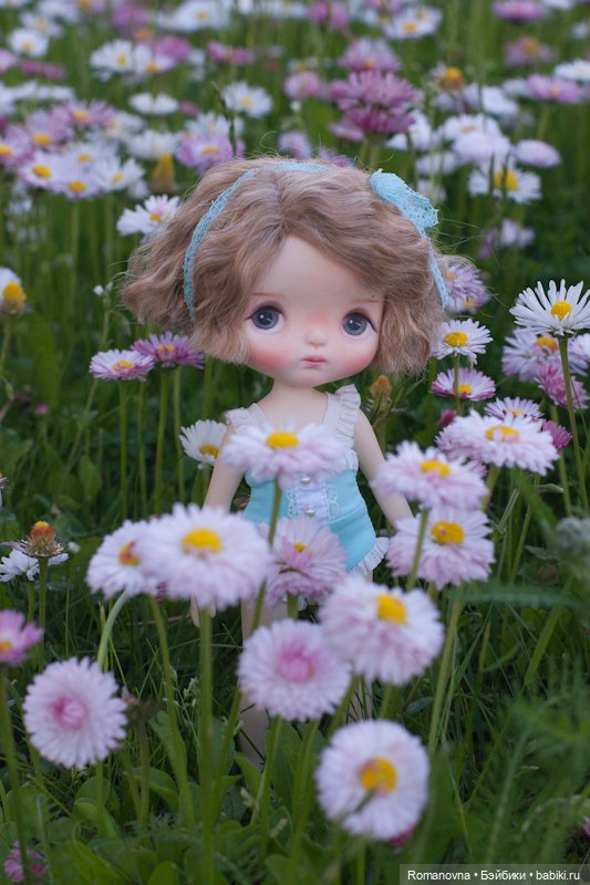 Xiaomi Monst, Hachichi, Lemo и Holala круглый год