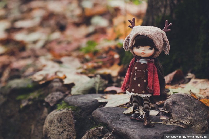 Xiaomi Monst, Hachichi, Lemo и Holala круглый год (фото 4)