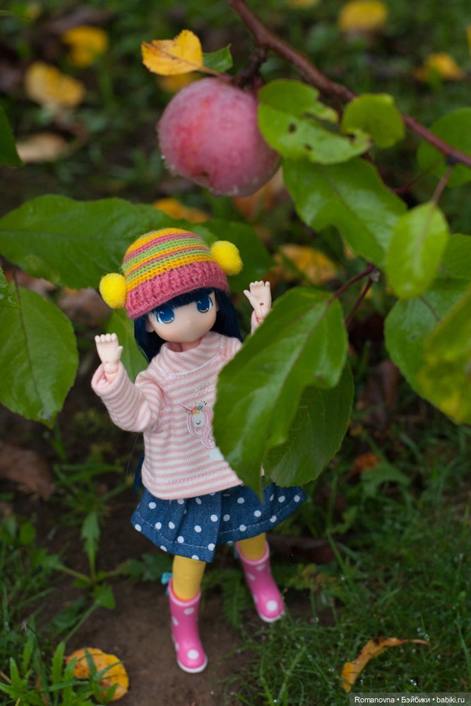 Мои девчонки Mamachapp — Аниме куклы (MJD/Винил): Imomo (фото 5)