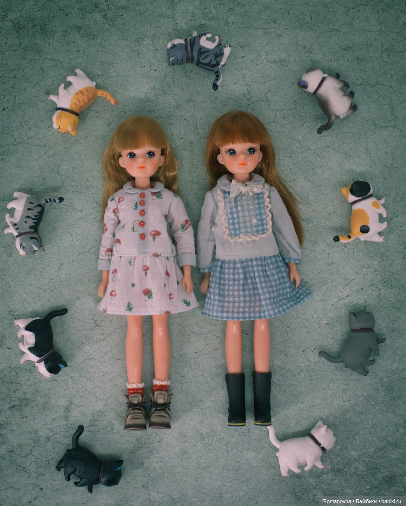 С днем рождения, Licca chan