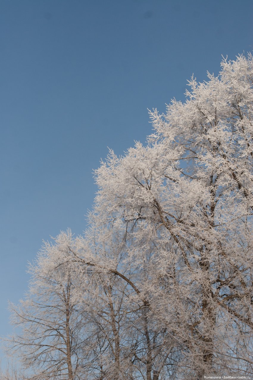 Ликка в деревне — Куклы Takara Tomy (Такара): Licca (Ликка) (фото 4)