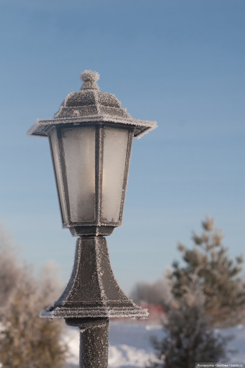 Ликка в деревне — Куклы Takara Tomy (Такара): Licca (Ликка) (фото 5)