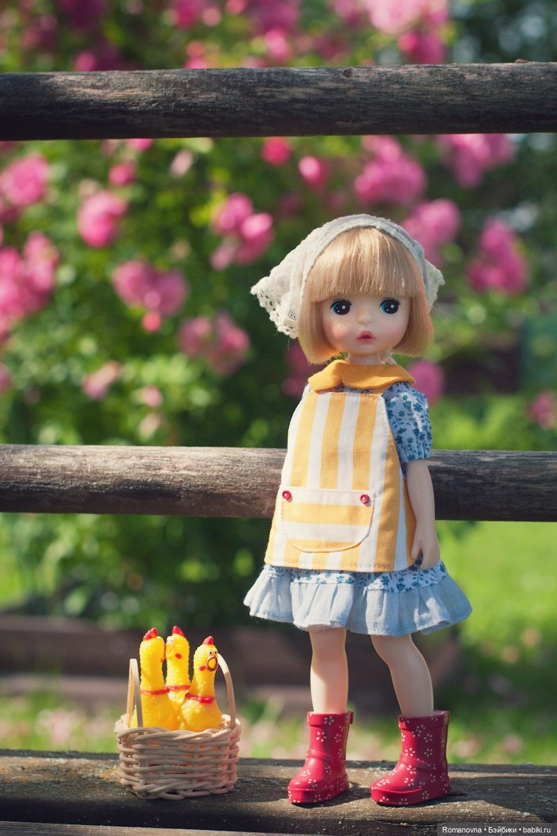 Девчонки Duoding и кое-кто еще (фото 9)