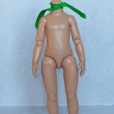 Шарнирное тело К-20 для Паола Рейна № 3
