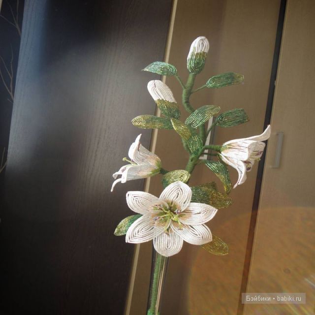 Мои поделки — Домашние коллекции кукол: фото собраний