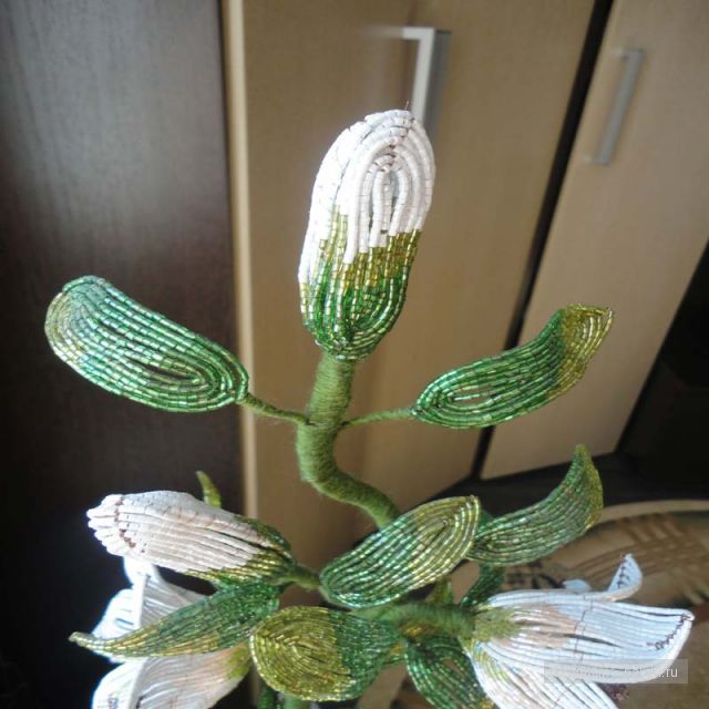 Мои поделки — Домашние коллекции кукол: фото собраний (фото 9)