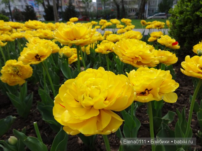 Новый наряд "Лён, хлопок, одуванчик..." для Ребекки. Rebecca American Girl