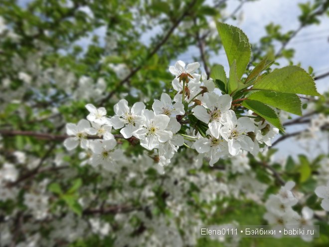 Новый наряд "Лён, хлопок, одуванчик..." для Ребекки. Rebecca American Girl