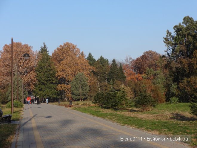 Australian Girl Matilda