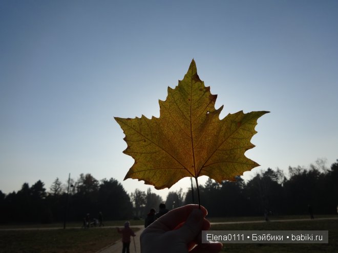 "Золотая осень и моя золотая девочка". Australian Girl Matilda (фото 9)