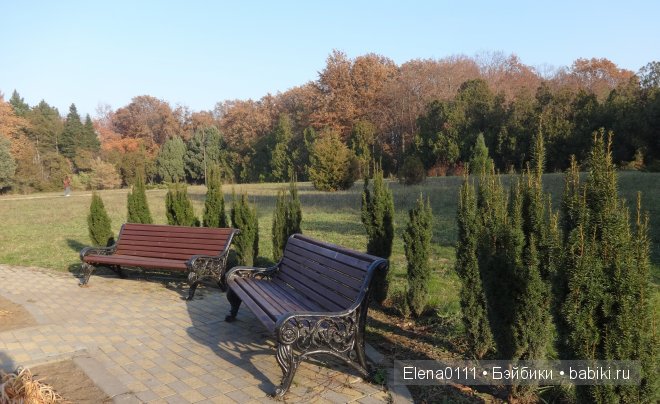 "Золотая осень и моя золотая девочка". Australian Girl Matilda