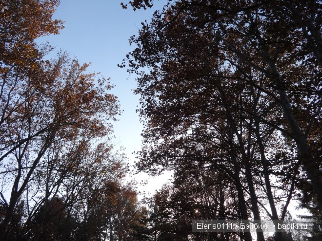 Australian Girl Matilda