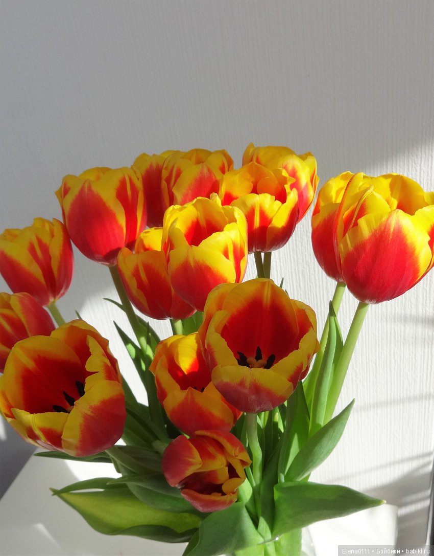 Одеваю Олю. "Кругозор", Москва, СССР (фото 10)